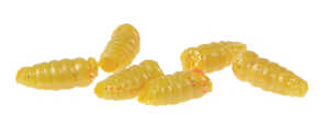 Bild på Micro PowerBait Maggot Yellow