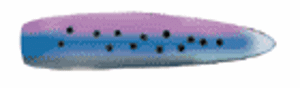 Bild på Apex 5,5tum (13,5cm) Rainbow Trout