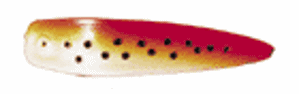 Bild på Apex 5,5tum (13,5cm) Brown Trout
