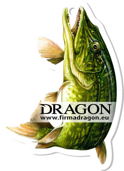 Bild på Dragon Wonderfish Pike