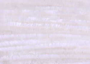 Bild på Standard Chenille Medium (4mm) White