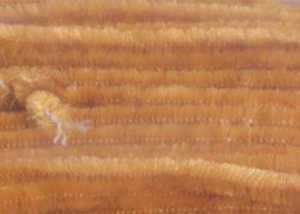 Bild på Standard Chenille Medium (4mm) Ginger