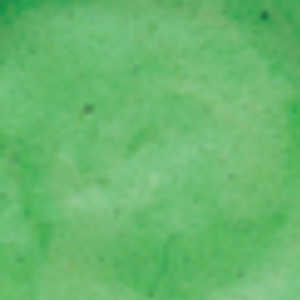 Bild på Powerbait Original Spring Green