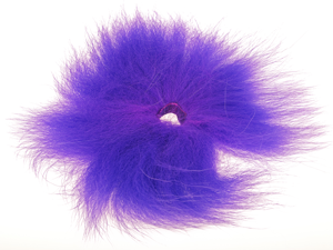 Bild på Rävsvans i bit Purple