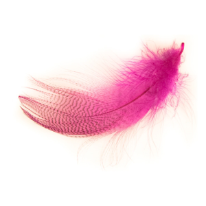 Bild på Mallard Selected Pink