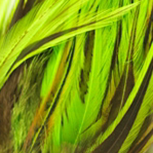 Bild på Tupphackel Badger Fluo Chartreuse