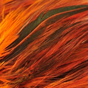 Bild på Tupphackel Badger Burnt Orange