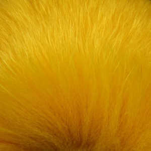 Bild på Shadow Fox Yellow Gold