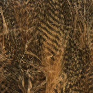 Bild på Marabou Fine Barred Feathers Wood Duck Tan