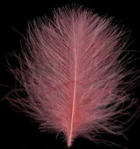 Bild på Swiss CDC Feathers Super Select Light Pink