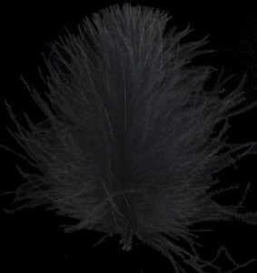Bild på Swiss CDC Feathers Super Select Black