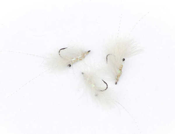 Bild på CDC Shrimp White #8