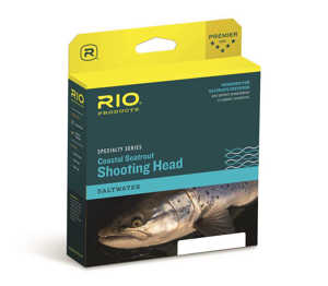 Bild på Rio Coastal Seatrout Shooting Head Floating #8/9
