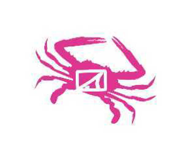 Bild på SWC Hot Pink Drifter Application Sticker