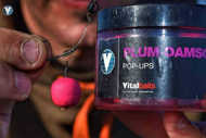 Bild på Vitalbaits Pop-Ups Piña N-Butyric Acid 14mm
