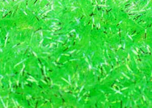 Bild på Cactus Chenille (6mm) Green Highlander