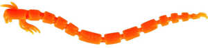 Bild på Westin BloodTeez 5,5cm (10 pack) Fluo Orange