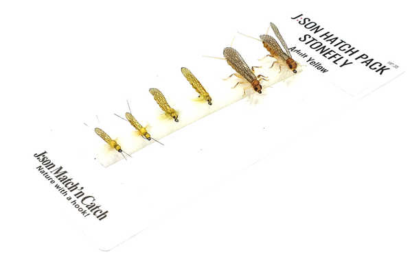 Bild på Json Hatch Pack Stonefly Adult Yellow