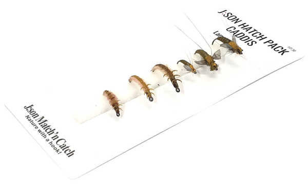 Bild på Json Hatch Pack Caddis Larva & Pupa Olive Brown