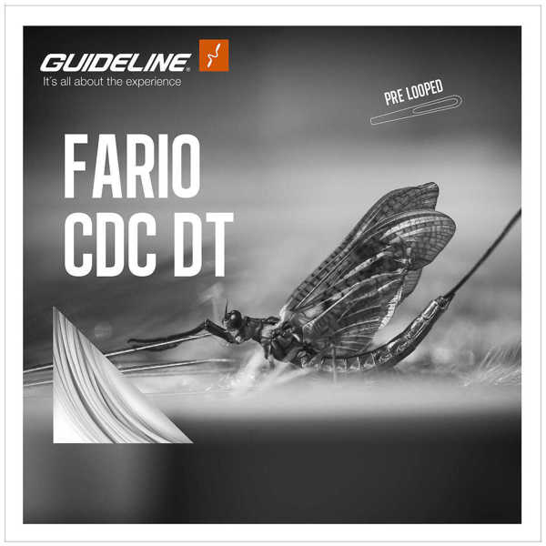 Bild på Guideline Fario CDC DT Float #4