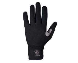 Bild på A.Jensen Specialist Glove Full Finger Large