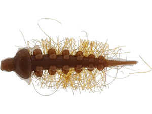 Bild på Westin Riffle Larva 3,5cm (5 pack) Brown (Garlic/Cheese)
